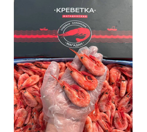Креветка северная магаданская 50/70, коробка 5 кг